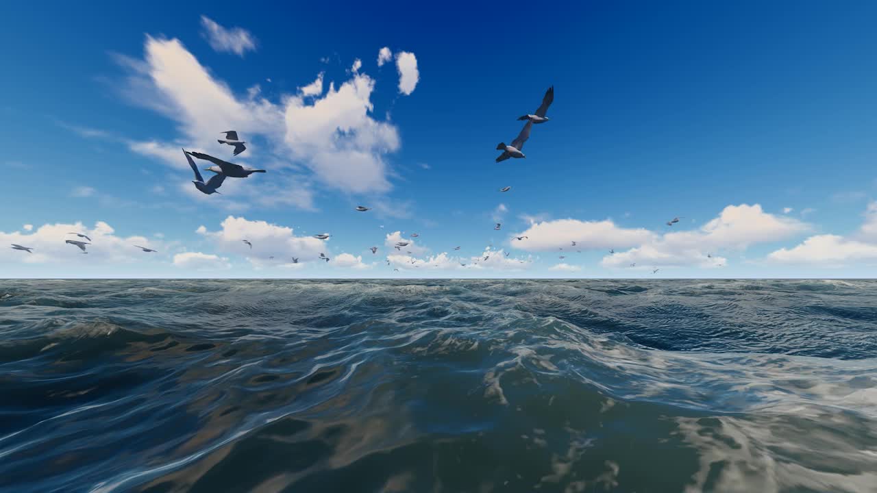 一群海鸥在辽阔的海面上自由飞翔