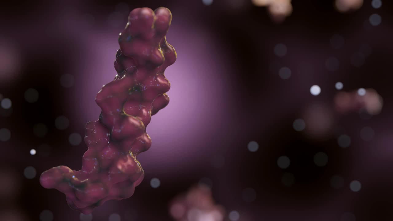 分散的胰高血糖素分子的三维动画