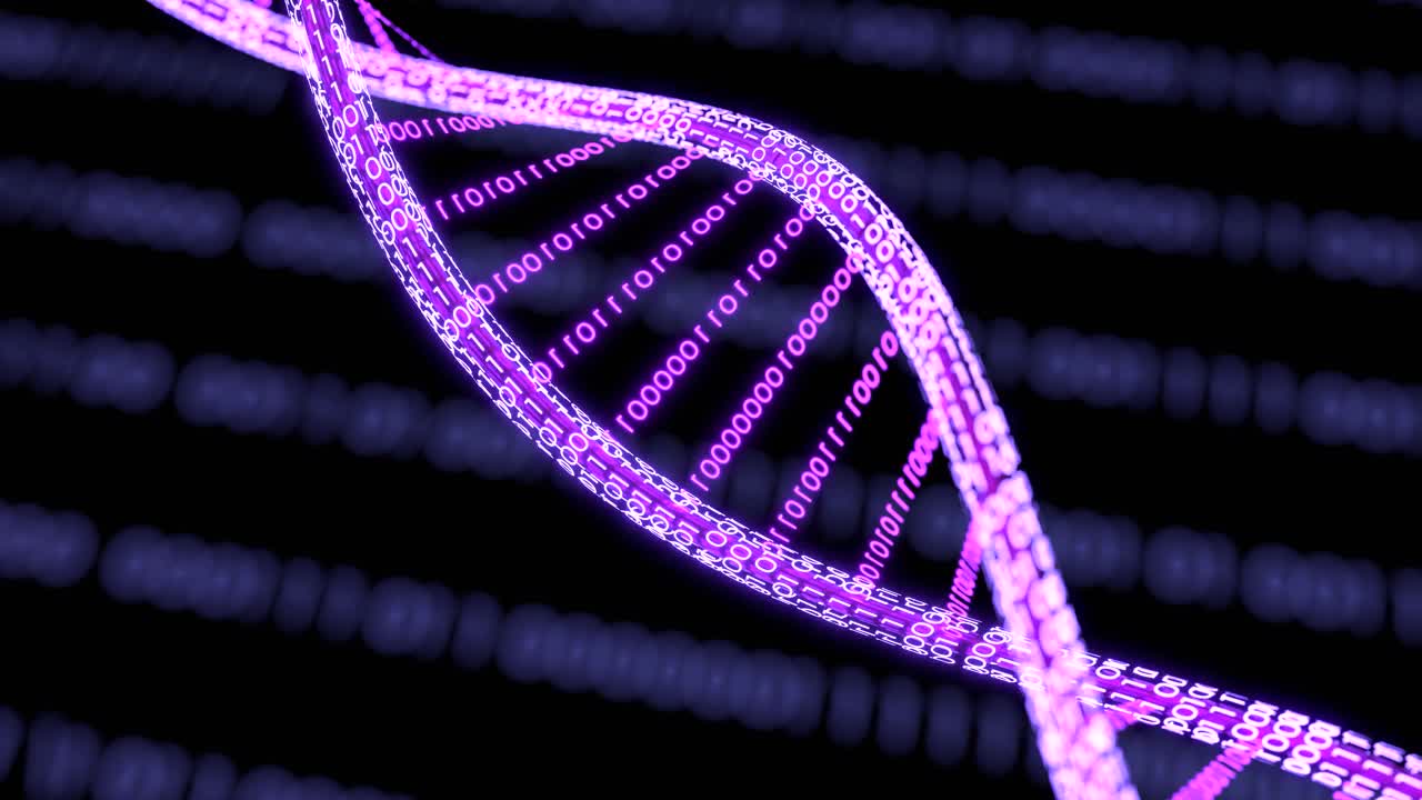 DNA 3D动画。科学和医学概念，二元DNA分子