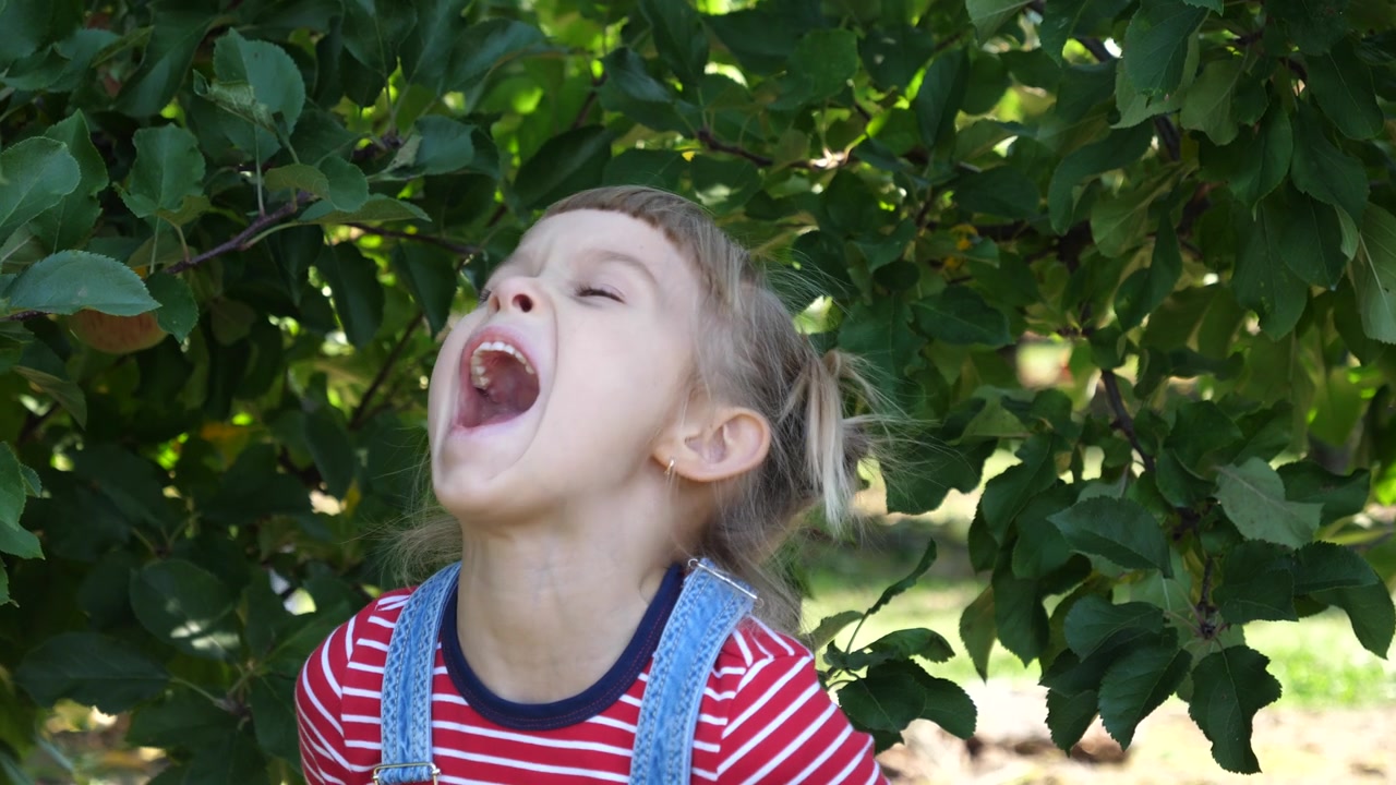 詳情圖-健康飲食-可愛的小女孩在花園里和剛摘下來的蘋果做鬼臉