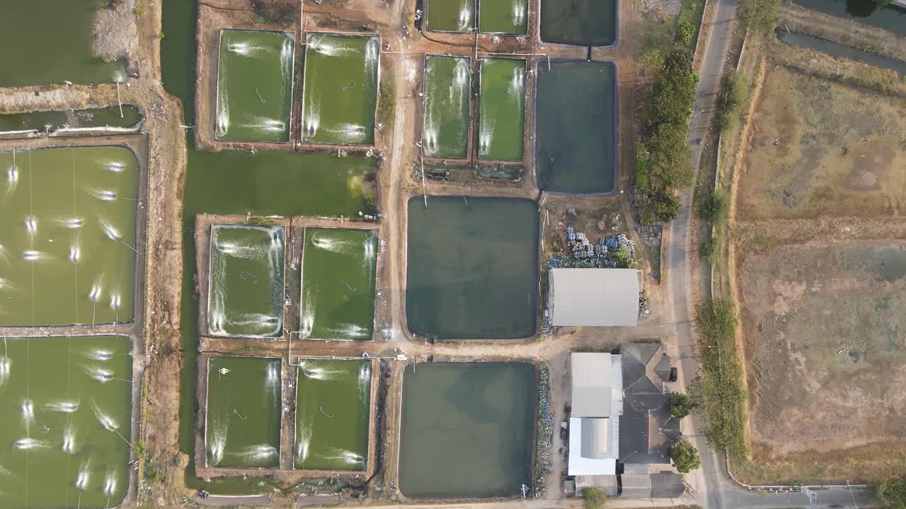 在靠近海洋的水域，用增氧机泵加氧的对虾养殖鸟瞰图。
