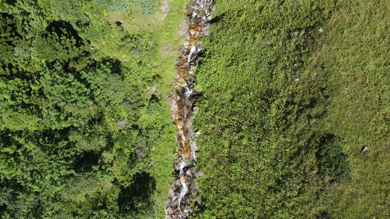 鸟瞰图:绿林流水，山林景观，山谷绿树