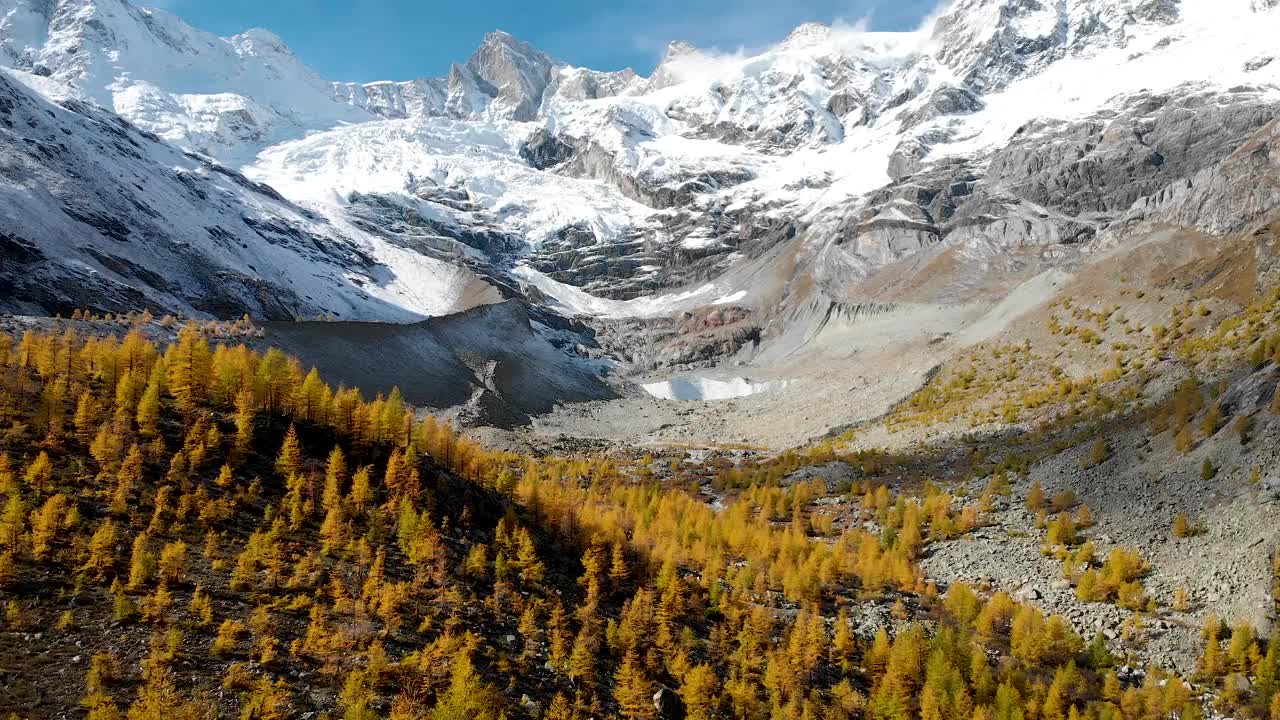 金秋时节，在瑞士阿尔卑斯山区的瓦莱地区，从空中俯瞰一片长满黄色落叶松的森林，可以看到白雪覆盖的Zinal Rothorn峰和冰川