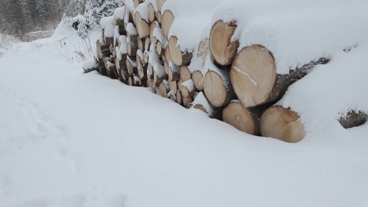 松树林附近一堆被雪覆盖的原木。-向上倾斜射击