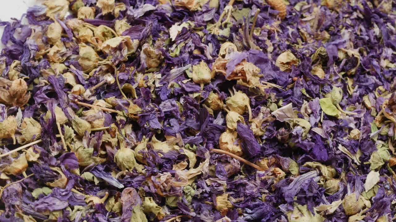蓝禅干花茶旋转特写。泰国蝴蝶豌豆花茶。食物和甜点的香料。草本植物