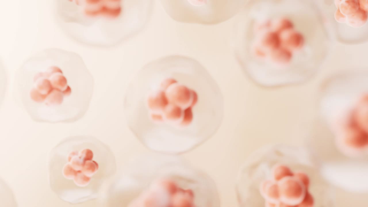 透明细胞与生物技术和美容概念，3d渲染。