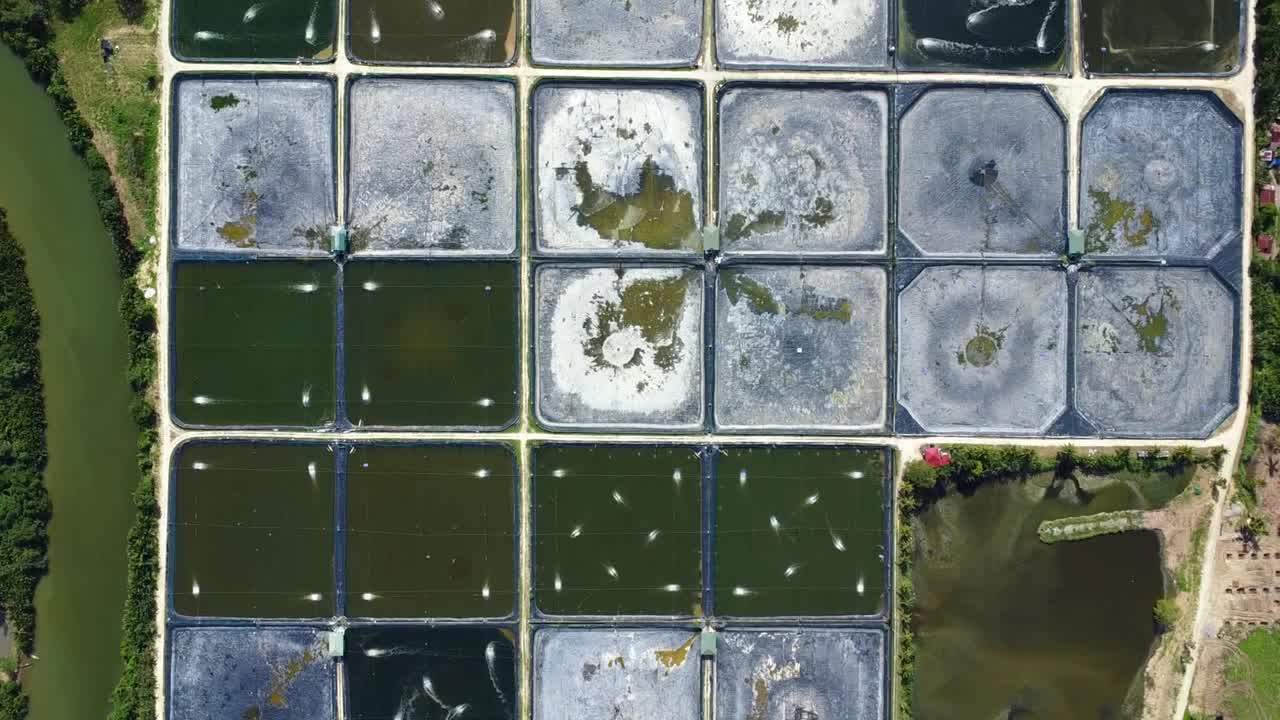 渔场、虾场鸟瞰图。水产养殖