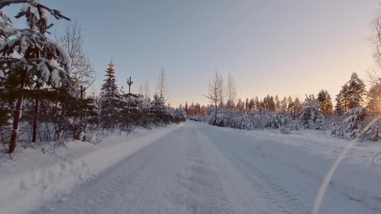 详情图-风景优美的POV驾驶在冰雪覆盖的冬季森林芬兰阳光景观