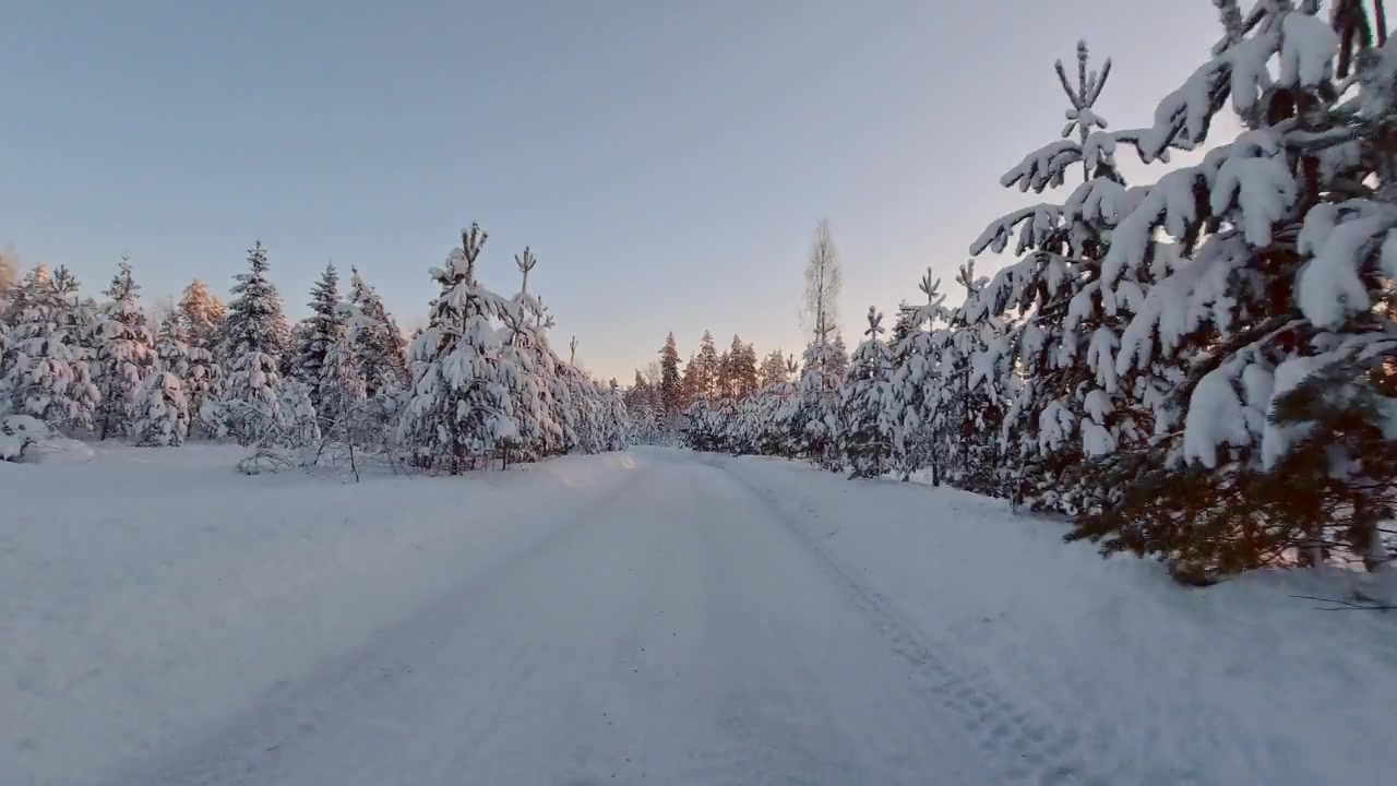 详情图-风景优美的POV驾驶在冰雪覆盖的冬季森林芬兰阳光景观