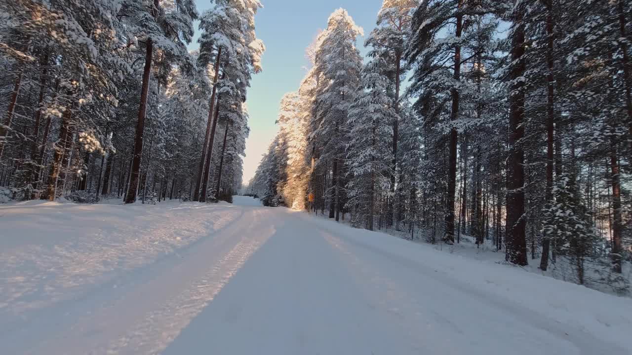 快节奏的驾驶POV在冬季森林树木的雪道阳光明媚的一天