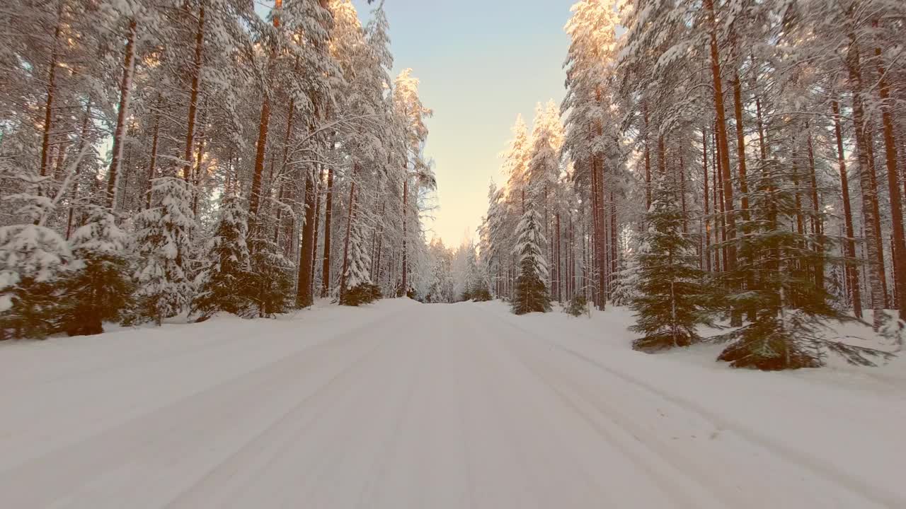 金色的太阳把冬日森林里的树木斑驳地点缀在白雪覆盖的道路上