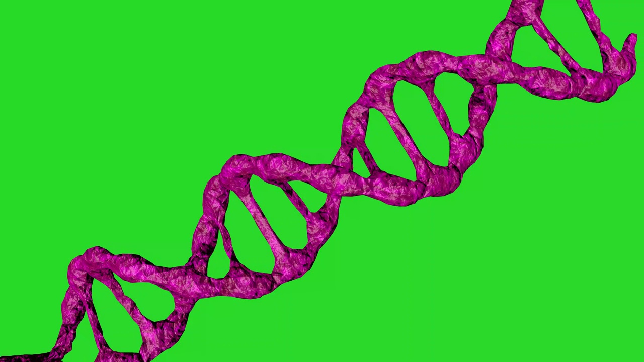 绿色背景上的粉色DNA分子动画。生物技术、生物化学、遗传学和医学概念。DNA链。3 d动画。