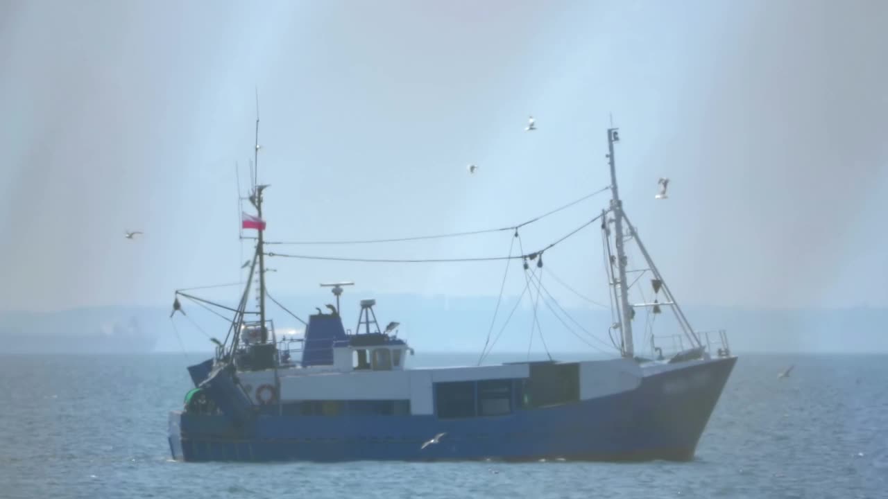 商业渔船在海上与鸟类和朦胧的阳光在4k
