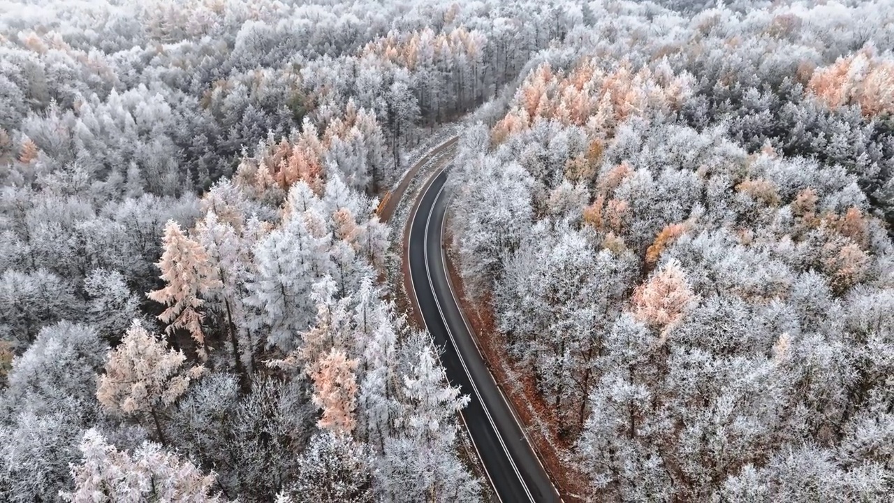 冬日的柏油路之间是五彩缤纷的雪林与雾凇，波兰。