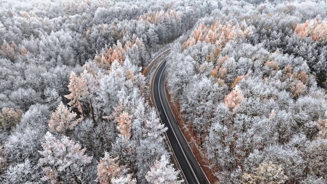 詳情圖-冬日的柏油路之間是五彩繽紛的雪林與霧凇，波蘭。