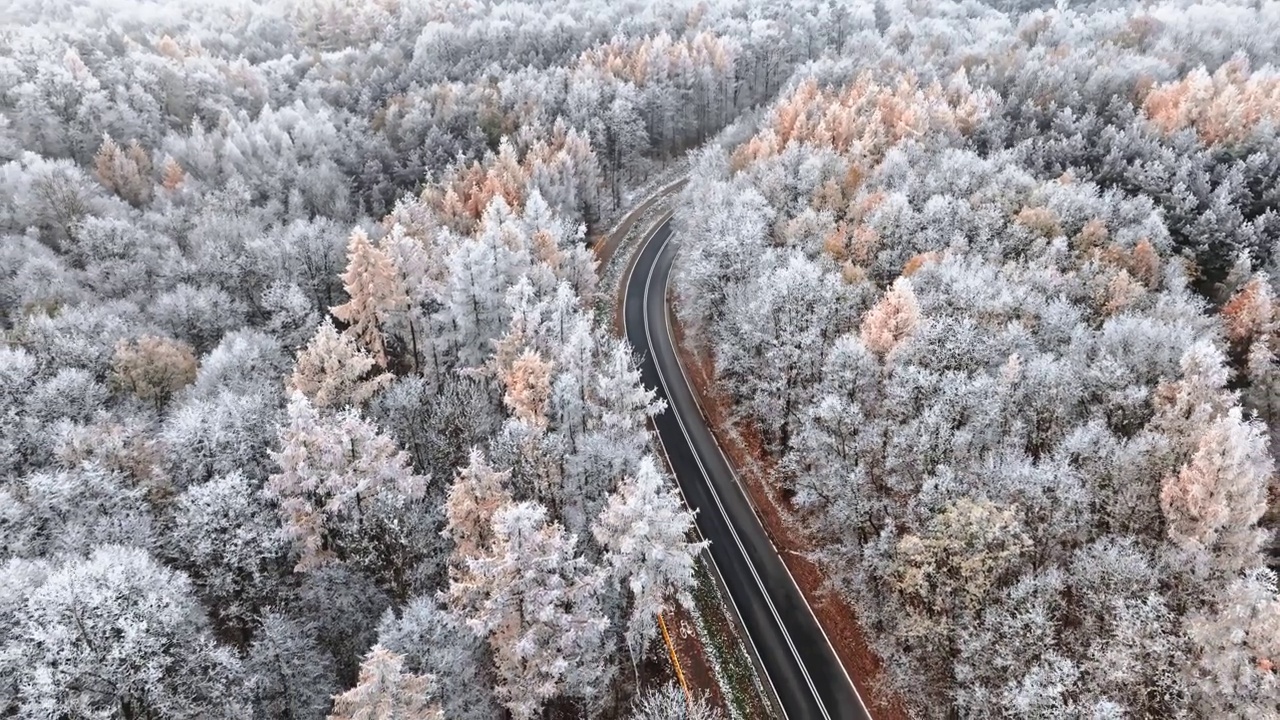 詳情圖-冬日的柏油路之間是五彩繽紛的雪林與霧凇，波蘭。