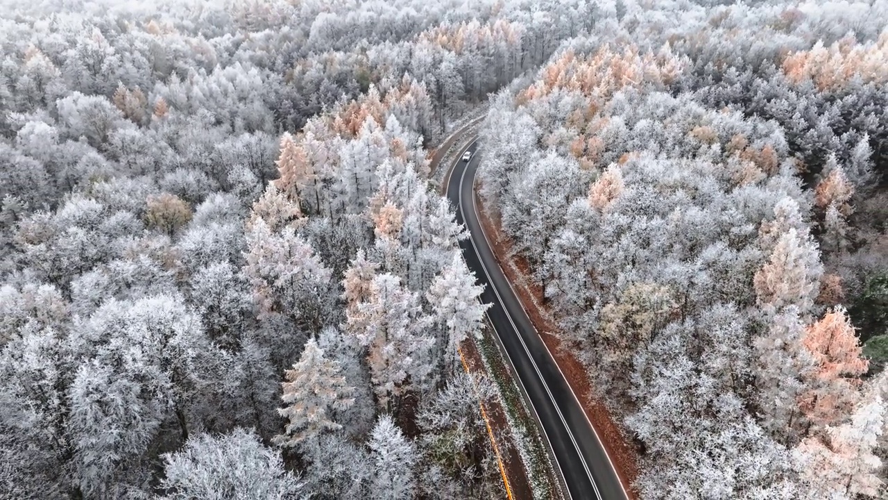 詳情圖-冬日的柏油路之間是五彩繽紛的雪林與霧凇，波蘭。