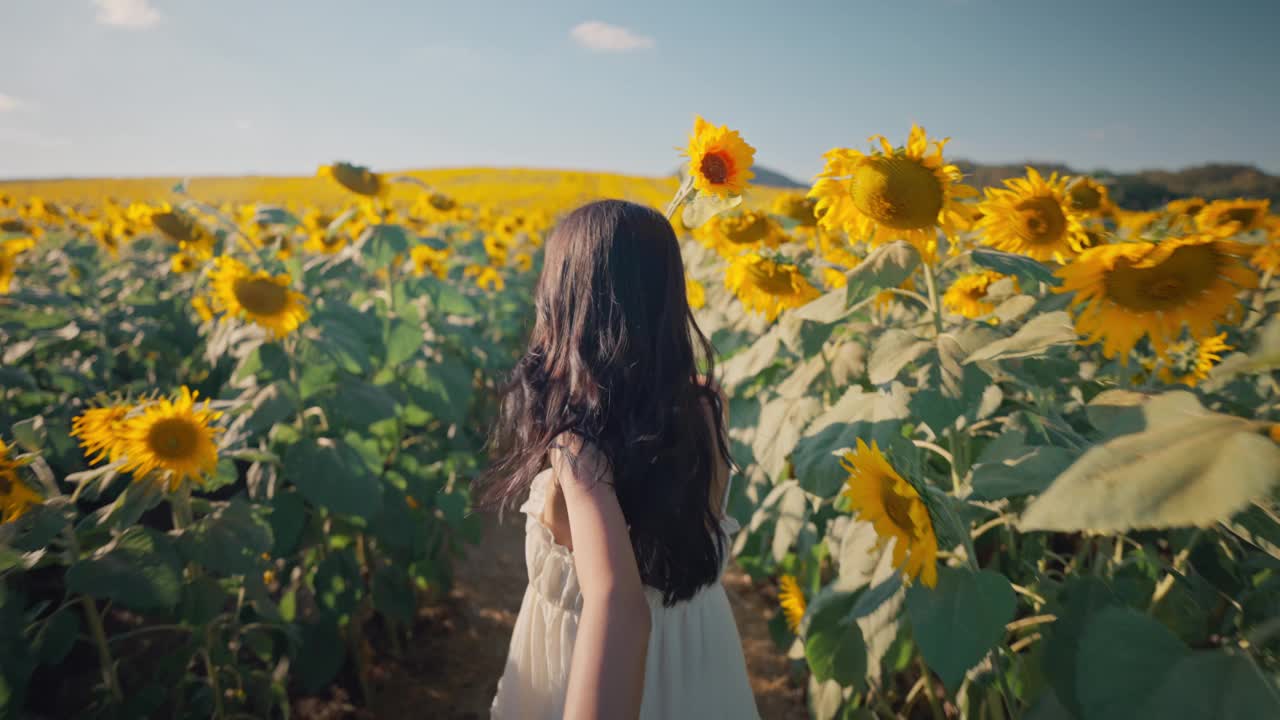 自由的女孩和男孩手牵手在日落时分的向日葵地里奔跑，年轻的亚洲女子和她的男朋友一起穿越乡村