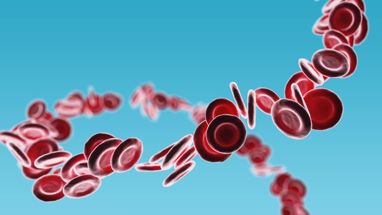 詳情圖-紅細(xì)胞在藍(lán)色背景上的特寫。3D渲染動(dòng)畫。