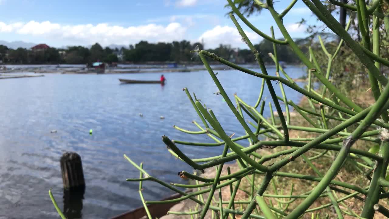 一个不知名的船夫划着他的竹渔船在湖上穿行，被槲寄生仙人掌挡住了。模糊，选择性聚焦