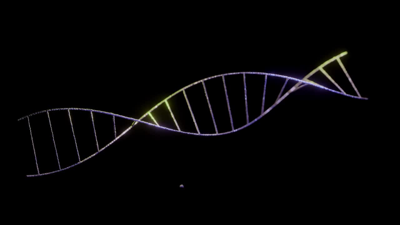 在黑色背景上抽象DNA。紫色和绿色的DNA分子。染色体中的DNA分子。科学,生物学。科学动画的遗传信息概念设计。3d渲染4k