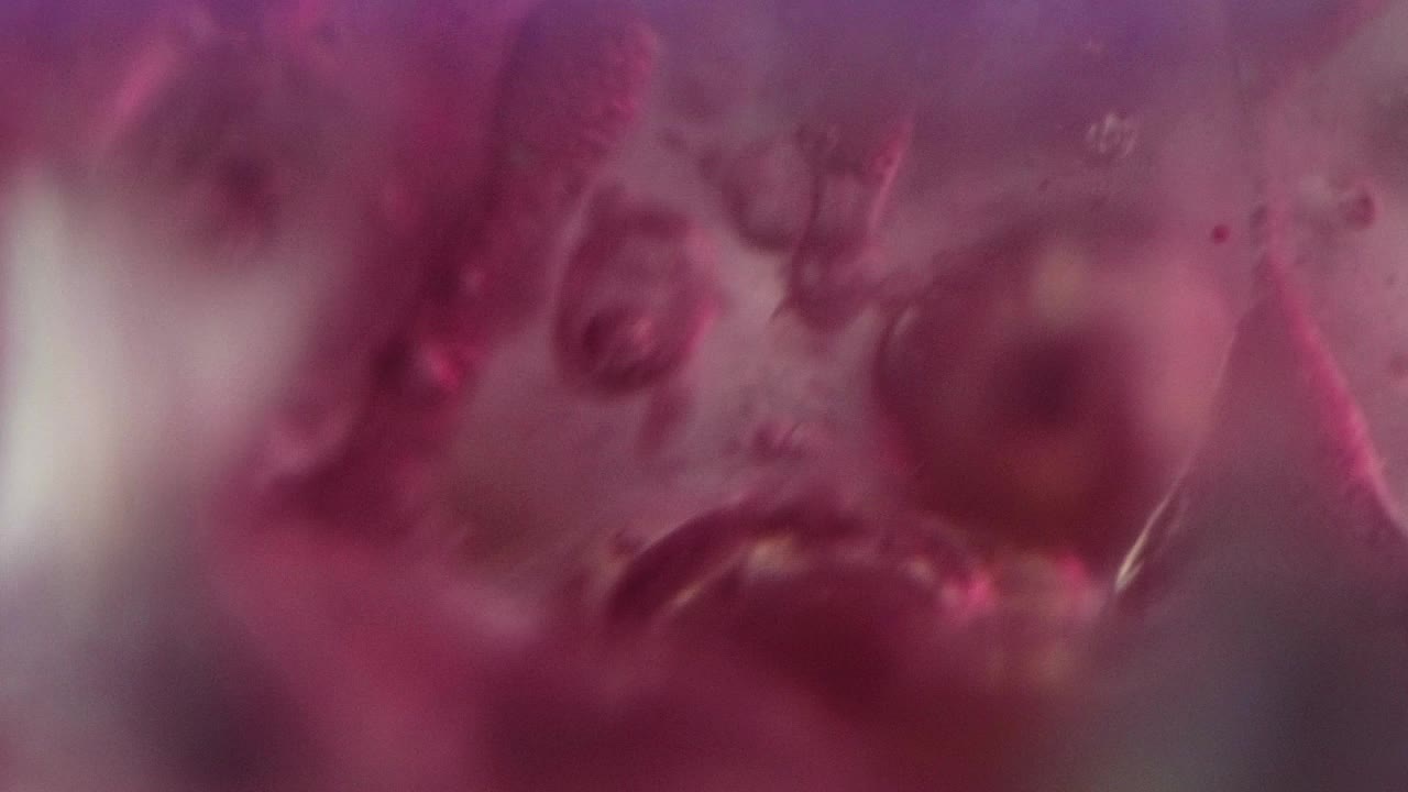 泡沫液体，油滴，油漆，水泡沫，粉色凝胶