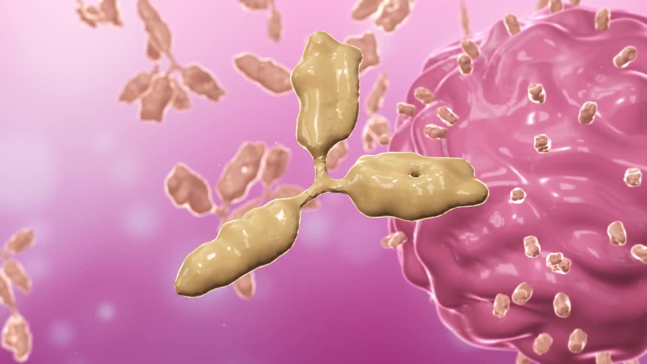 一组脂肪细胞的3D动画