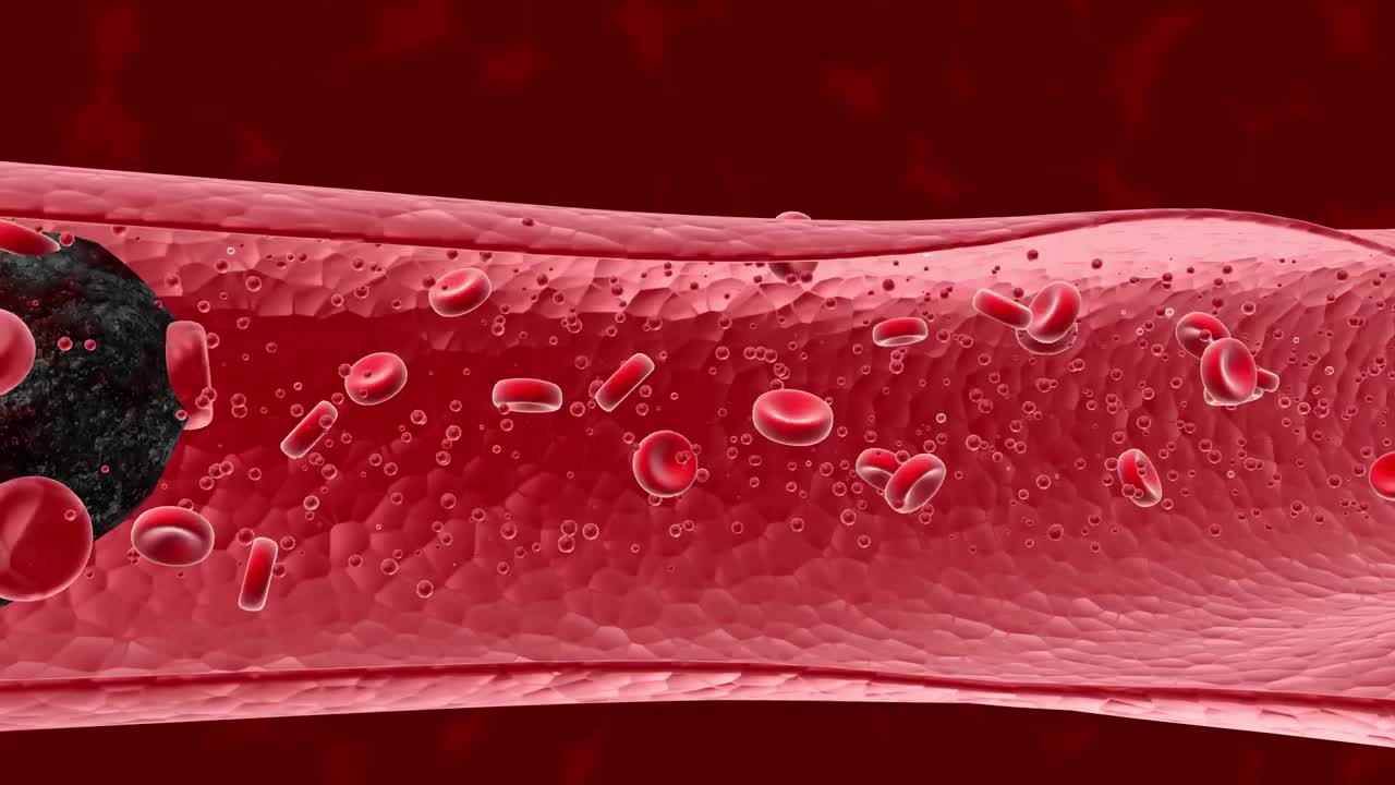 红细胞中的癌细胞3D渲染动画。肿瘤学、癌症学、转移学、医学、微生物学、科学、疾病、健康概念。