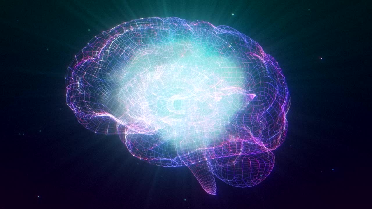 飞行内部人工智能数字大脑出价数据。