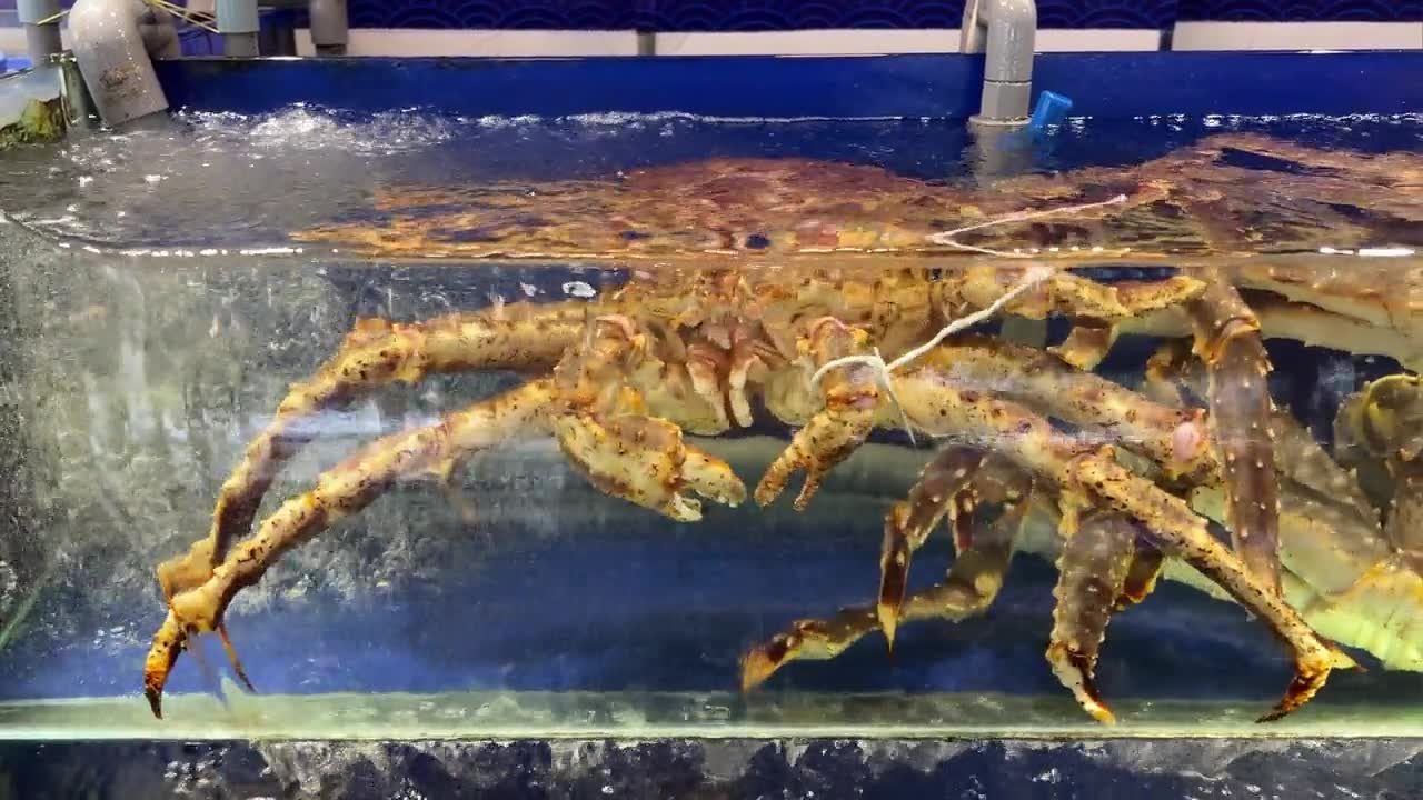 详情图-餐厅水箱里的阿拉斯加帝王蟹餐厅水箱里的活蟹
