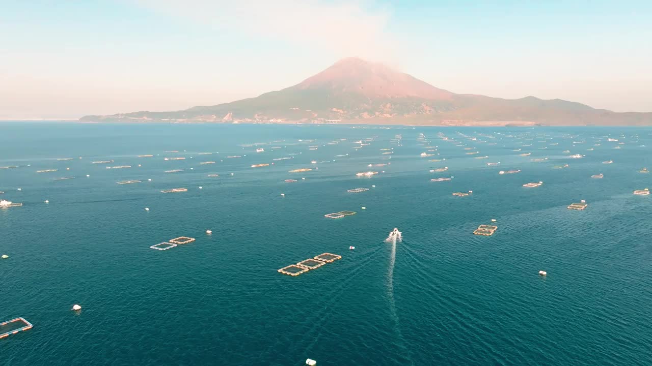 鸟瞰图，一艘渔船在鹿儿岛湾的蓝色海水和鱼笼之间驶向樱岛火山