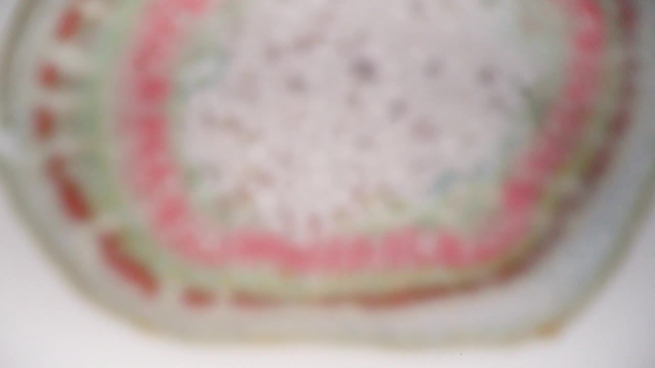 棉花秸秆。显微镜下横切面。放大100倍。详细独特的植物微观结构。Microbotany。育种工作。提高棉花作物的产量和生产力