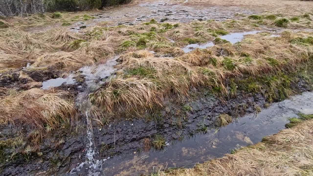 春天雪融化后，沼泽里充满了水。可以看到一层黑色泥炭土在边缘流动，用于化妆品工业和医药。它曾经变热，冰川