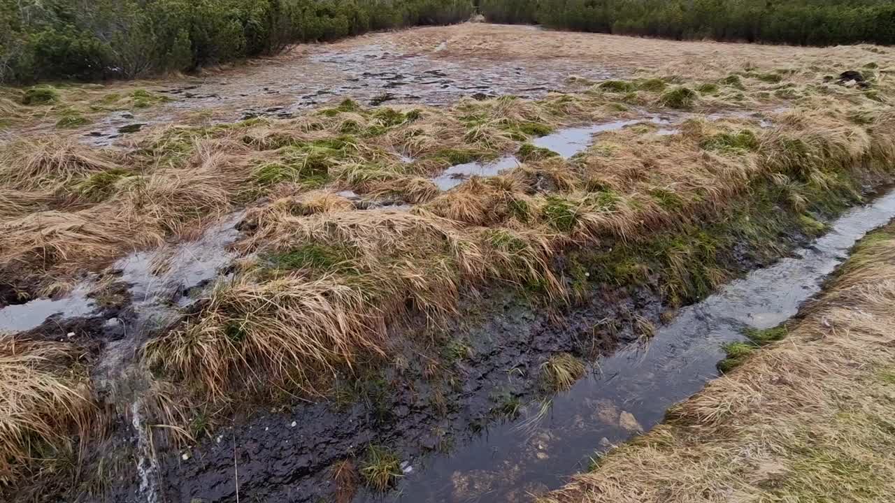 春天雪融化后，沼泽里充满了水。可以看到一层黑色泥炭土在边缘流动，用于化妆品工业和医药。它曾经变热，冰川