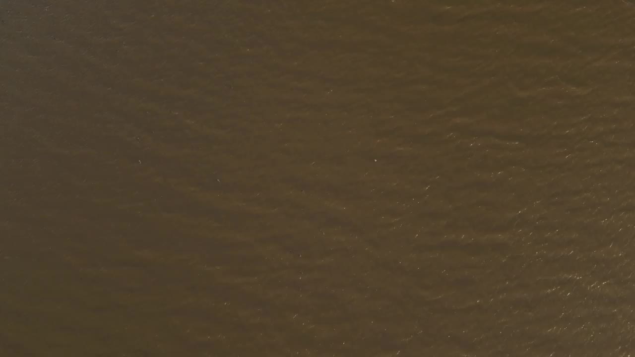 空中野生动物鸭子在三角洲4K库存视频