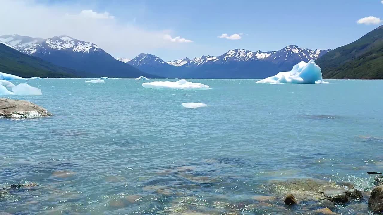 湖中满是从莫雷诺冰川上脱落下来的冰山。