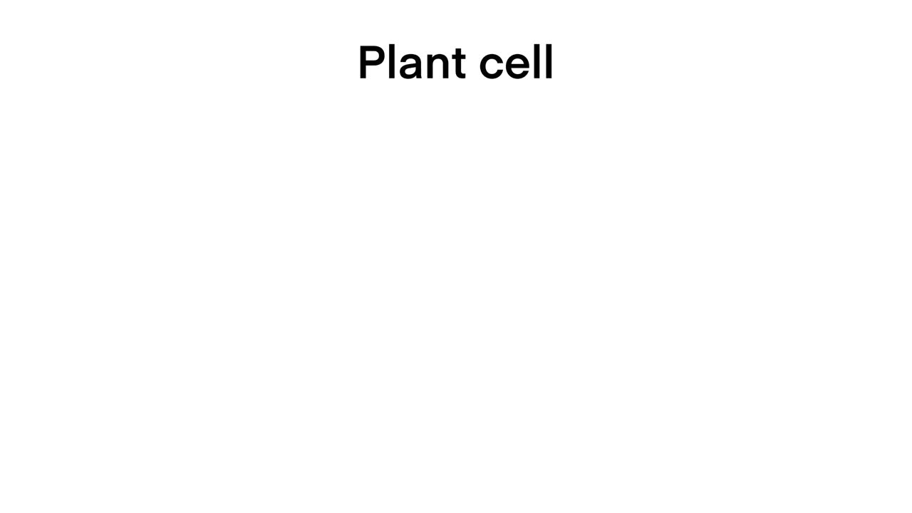 植物细胞解剖，植物细胞解剖结构图解，生物科学教育学校