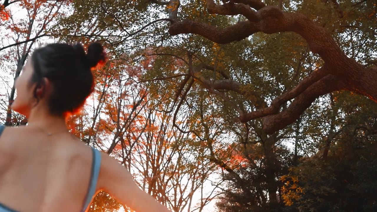 詳情圖-自然、舞蹈和芭蕾舞的女人在公園里為音樂會、表演或古典戲劇練習(xí)。秋天，藝術(shù)、優(yōu)雅的日本女芭蕾舞演員在戶外花園或田野伴著音樂排練