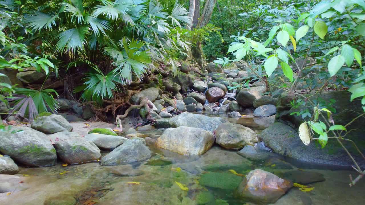 鸟瞰图，在哥伦比亚的岩石地面上，一条小溪流经茂密的森林