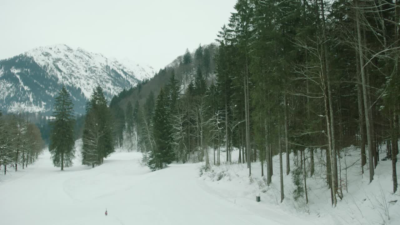 冬季，白雪覆盖的山脉高耸在一片宁静的松林之上