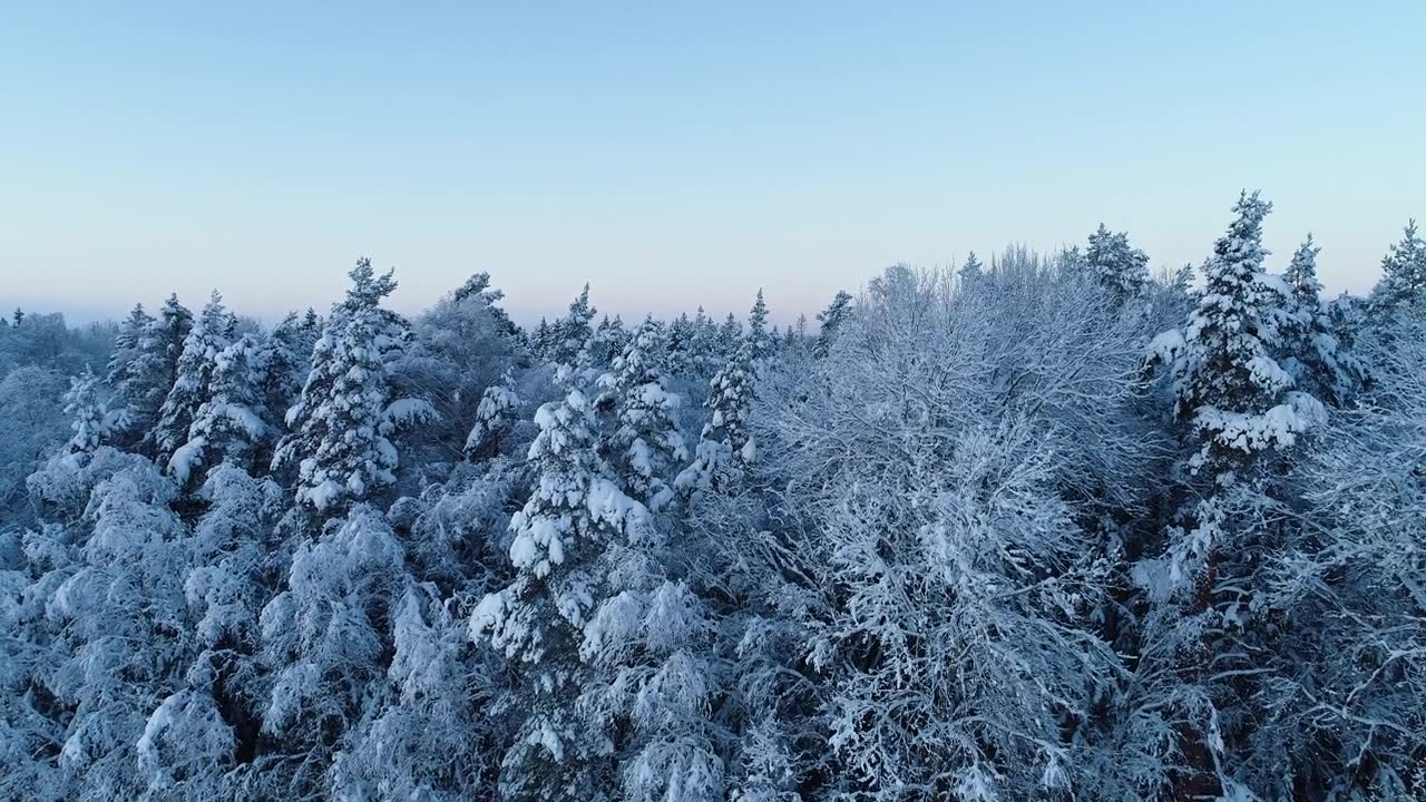 詳情圖-在愛沙尼亞鄉(xiāng)村的一個冬夜，從一片白雪皚皚的森林中升起