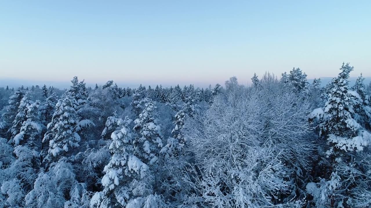 詳情圖-在愛沙尼亞鄉(xiāng)村的一個冬夜，從一片白雪皚皚的森林中升起