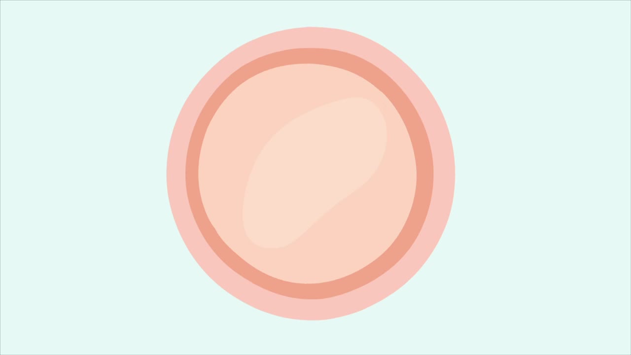 人工授精概念。将精子插入卵子