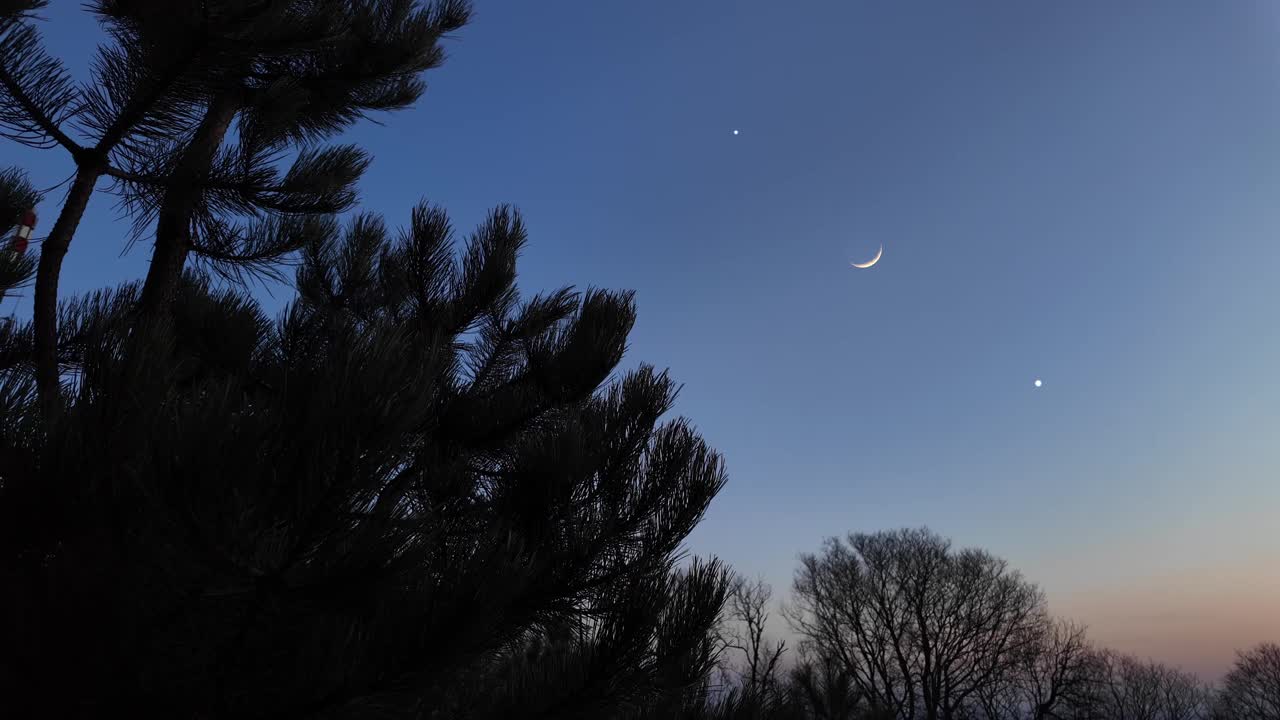 新月、流星、行星、星星和树木的剪影。