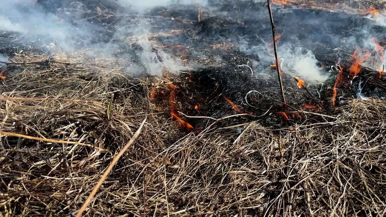 农场草地着火了。干旱引起的干草火灾。