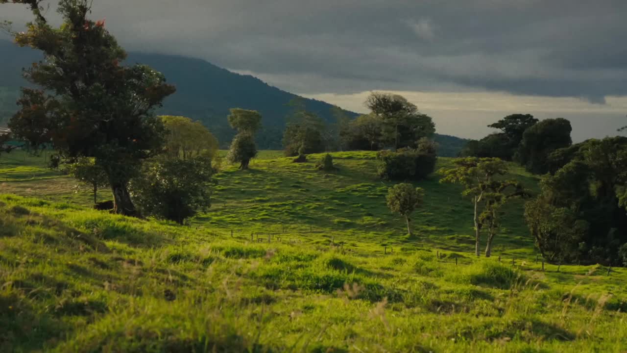 陽光普照的綠色全景，草地、樹木和遠處的山脈在云層覆蓋的天空下，體現了未受破壞的自然美。