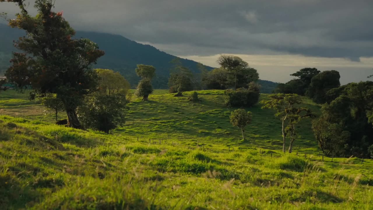 詳情圖-陽光普照的綠色全景，草地、樹木和遠處的山脈在云層覆蓋的天空下，體現(xiàn)了未受破壞的自然美。