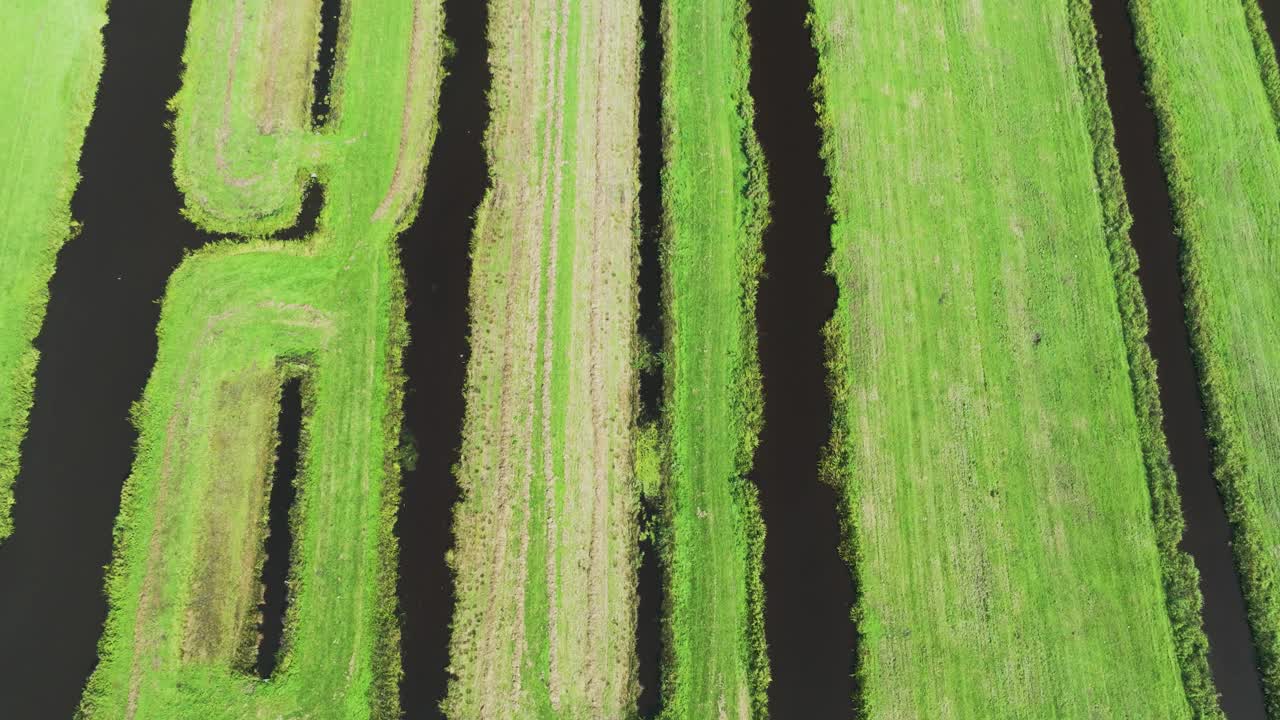 荷兰自然保护区的绿色草地和沟渠鸟瞰图。