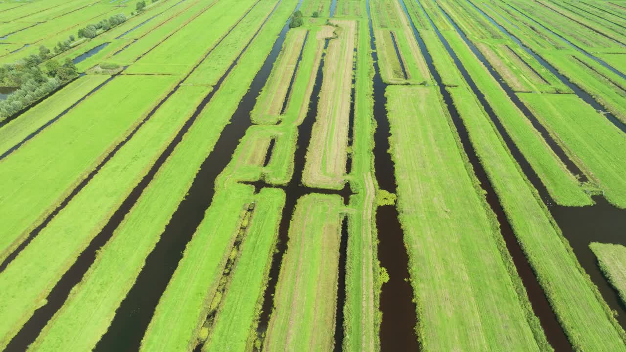 荷兰，郁郁葱葱的草地和沟渠鸟瞰图。