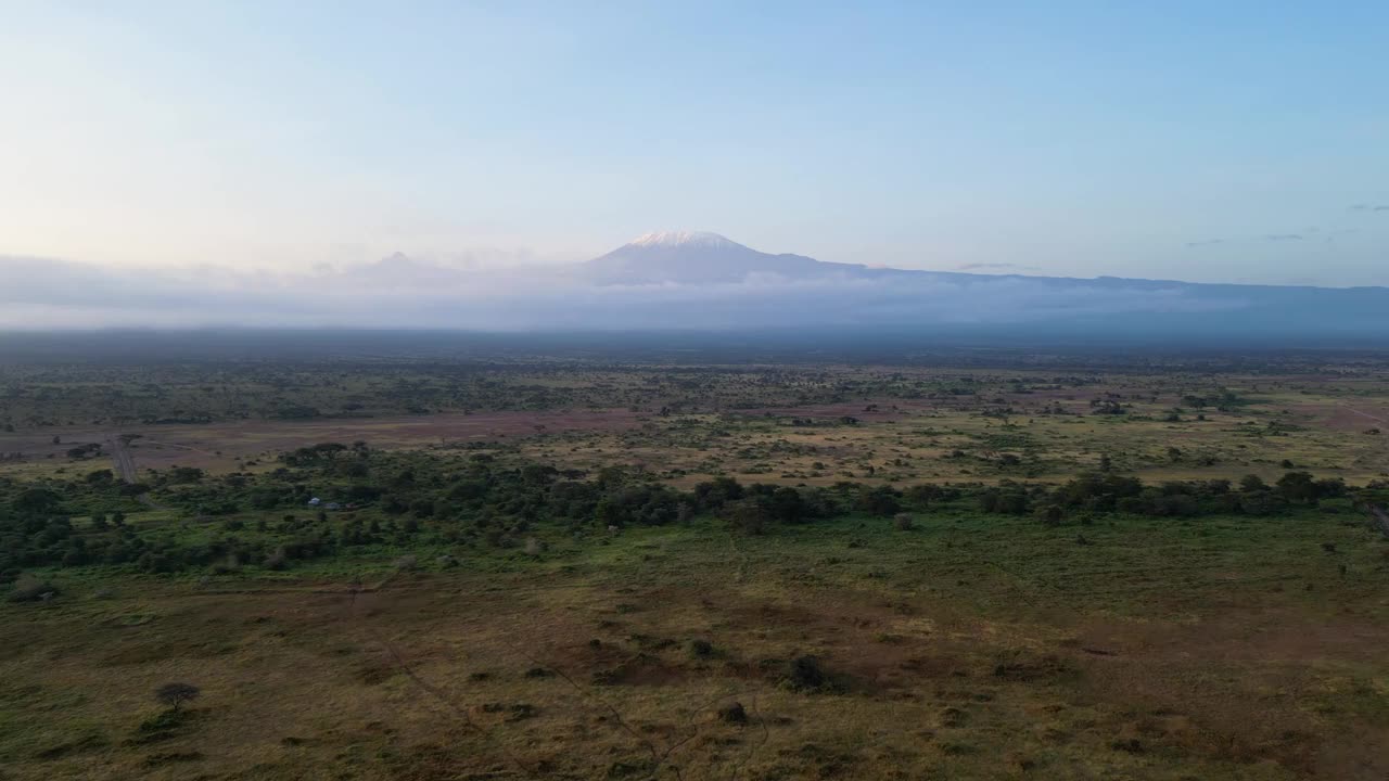 以乞力马扎罗山为背景的美丽非洲风景。肯尼亚。非洲。非洲大草原和乞力马扎罗山火山的美景